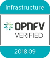 NFVI Badge